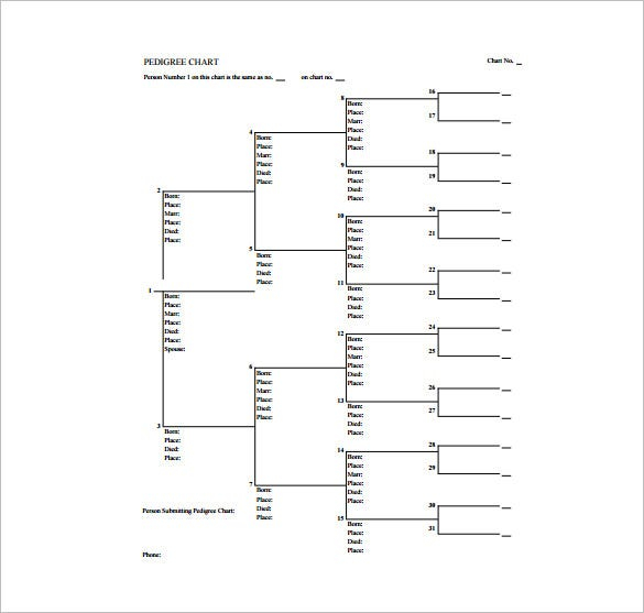 10 Pedigree Chart Templates PDF DOC Excel Free Premium Templates