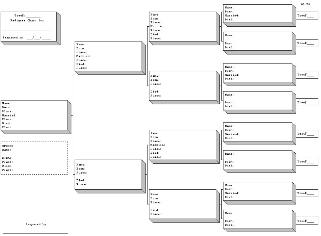 Blank Pedigree Chart Template Business